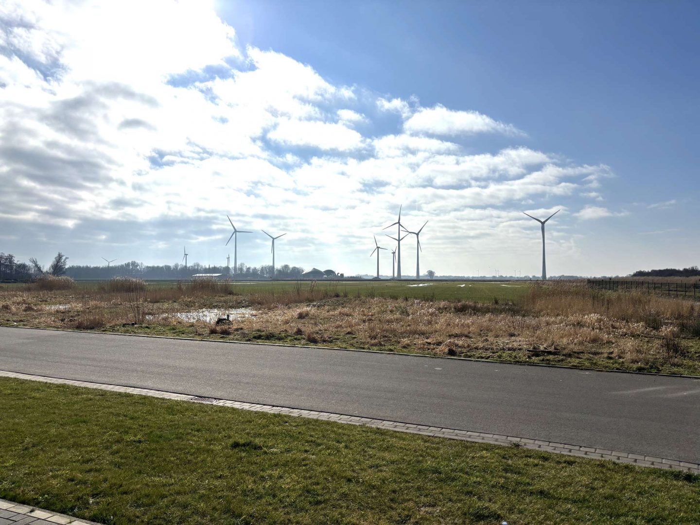 Blick ins Feld