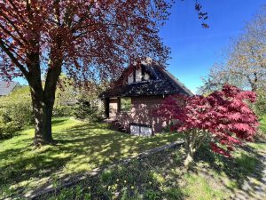 Gartenbereich