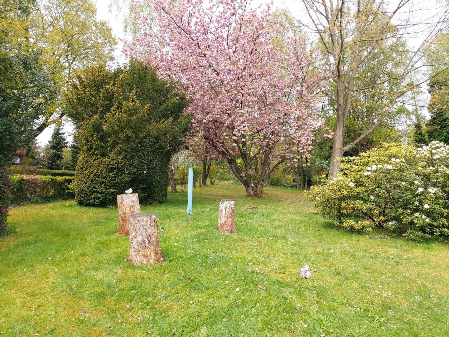 Gartenbereich