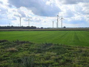 Blick in die Felder