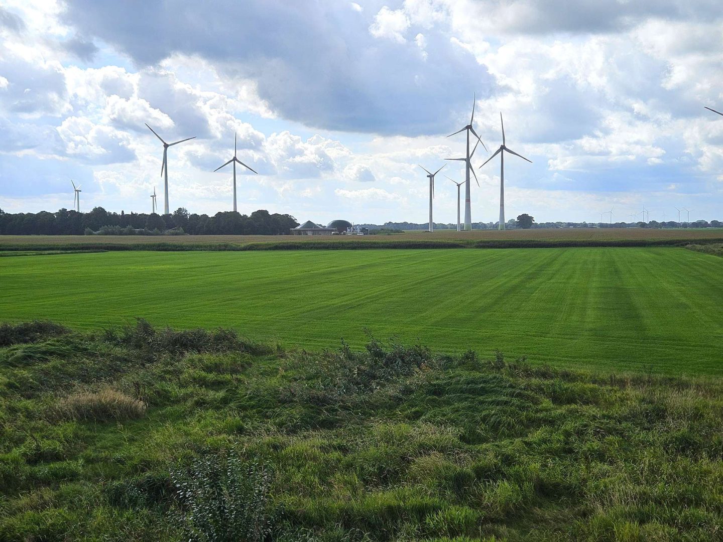 Blick in die Felder